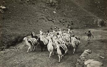 MARTÍN CHAMBI (1891-1973) A selection of 16 photographs, including indigenous figures, alpaca, and architectural studies.